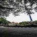 Covid-19 - Covid-19 Sampai Megaproyek, Memori Peristiwa di Kota Malang Selama 2020