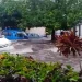 Diguyur Hujan 12 Kawasan di Kota Malang Alami Banjir Parah - Diguyur Hujan, 12 Kawasan di Kota Malang Alami Banjir Parah