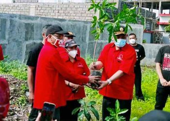 Ketua DPC PDI-P Kota Malang, I Made Riandiana Kartika, menyerahkan pohon untuk ditanam.