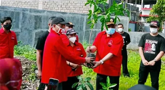 DPC PDI-P Kota Malang Tanam 500 Bibit Pohon Pule