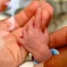 Selama Pandemi Angka Kematian Ibu Melahirkan dan Bayi di Kota Malang Merangkak Naik - Selama Pandemi Angka Kematian Ibu Melahirkan dan Bayi di Kota Malang Merangkak Naik