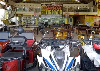 Strategi Agro Tawon Wisata Petik Madu Hadapi Pandemi