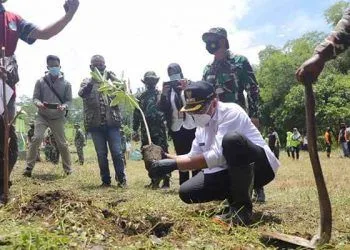 Wawali Sofyan Edi Tanam Pohon Pule di Taman Makam Bahagia Mergosono - Wawali Sofyan Edi Tanam Pohon Pule di Taman Makam Bahagia Mergosono