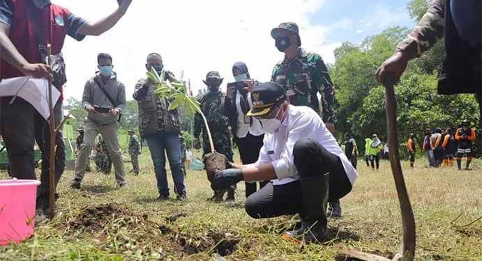 Wawali Sofyan Edi Tanam Pohon Pule di Taman Makam Bahagia Mergosono - Wawali Sofyan Edi Tanam Pohon Pule di Taman Makam Bahagia Mergosono