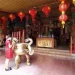 barongsai - Klenteng Eng An Kiong Absen Barongsai Tahun Ini