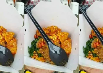 Padang Pop - Padang Pop! Nasi Padang Dalam Rice Box