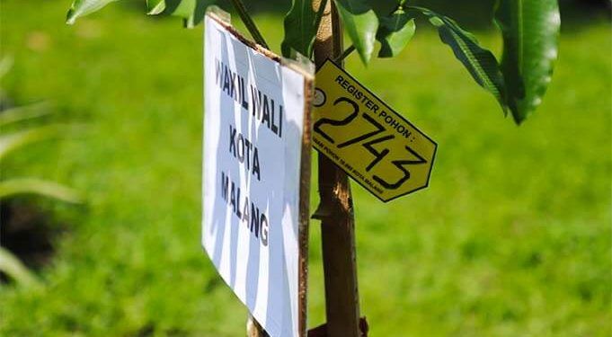 Wawali Kota Malang Tanam bibit Pohon Pule