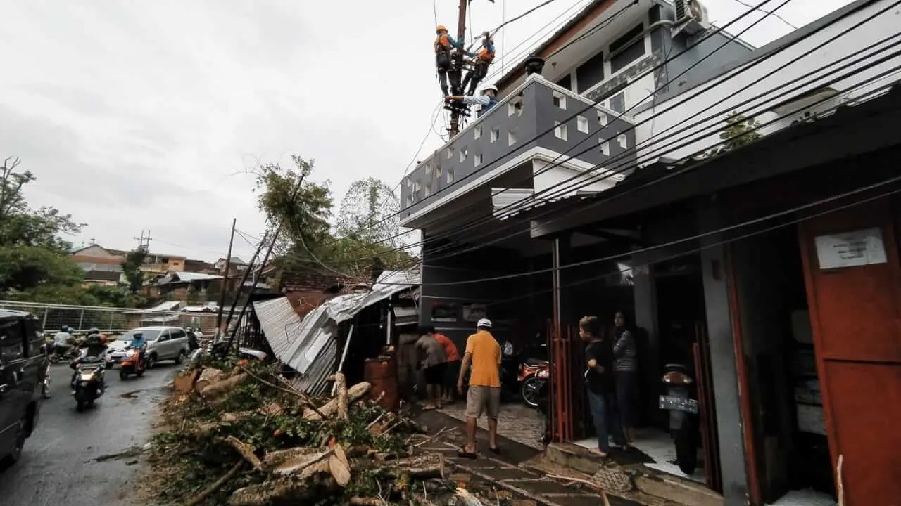 Pohon Tumbang di Mergan Timpa Seorang Pengendara Motor