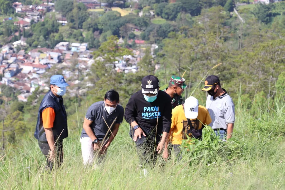 Pemkot Batu Tanam 600 Bibit Pohon