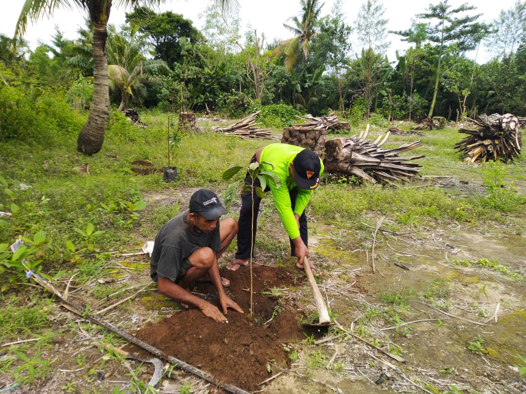 Warga Desa Tumpakrejo mencabut tanaman sawit dan menggantinya dengan tanaman buah. Foto: Rizal Adhi
