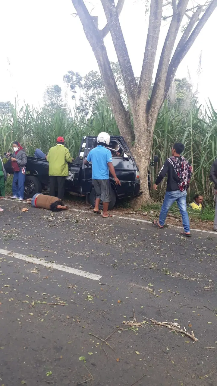 Pulang Arisan, Pick Up L-300 Nabrak Pohon di Poncokusumo, 5 Meninggal