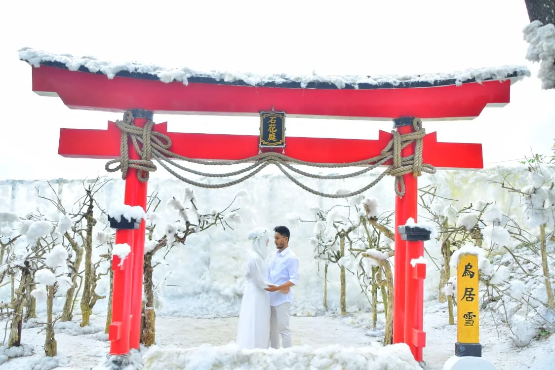 Wahana toriyuki dengan latar salju (Batu Flower Garden)