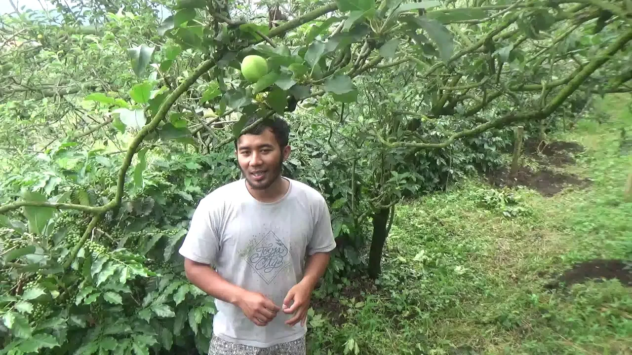 Hasil Eksperimen, Kopi Bercitarasa Buah Apel