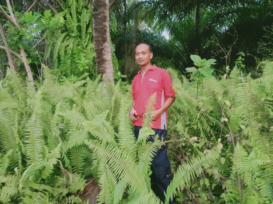 agroforestri - Bagaimana Agroforestri Menopang Kehidupan Masyarakat Kabupaten Malang