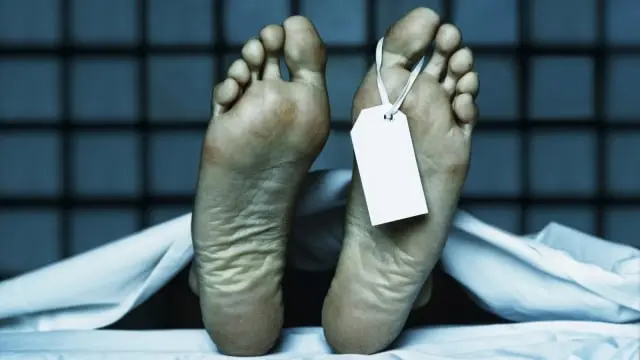 Mayat Perempuan Misterius Ditemukan di Bukit Iblis Hutan TNBTS
