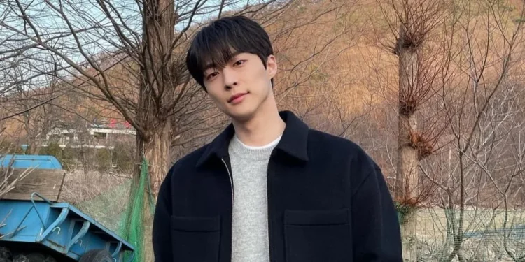 Bae In Hyuk berhasil membintangi dua drama