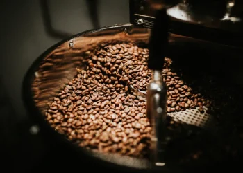 Kopi,Termahal,Luwak,Black Ivory,Saint Helena,Injerto,Molokai - 5 Kopi Termahal di Dunia, Hingga Belasan Juta