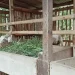 Lolos Program PTDM Berkat Inovasi Teknologi Reproduksi, Unikama Sasar Peternak Kambing di Ponorogo