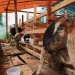 stok kambing kurban di jatim