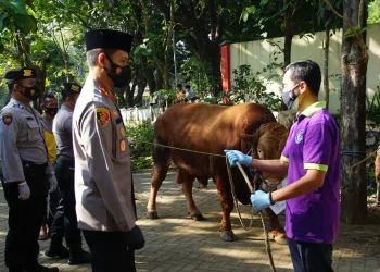Idul Adha, Polres Malang Sembelih 35 Kambing dan 8 Sapi