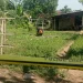 Warga Tajinan Dibacok Orang Tak Dikenal hingga Tewas