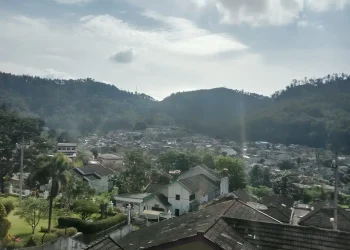 536 Vila Tak Berizin, Pemkot Batu Akan Gali Potensi Pajak Vila
