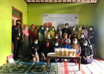 singkong - Manfaatkan Singkong, Tim FEB UMM Tingkatkan Ekonomi Warga Trenggalek