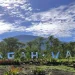 Kemah Ceria Sambil Belajar Konservasi di Ground Glagah Wangi