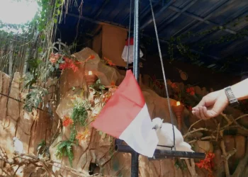 burung - Burung Kakak Tua di Eco Green Park Kerek Bendera Rayakan HUT ke-76 RI