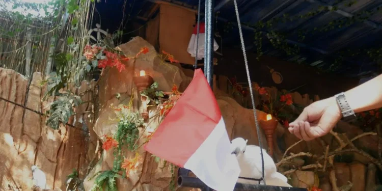 burung - Burung Kakak Tua di Eco Green Park Kerek Bendera Rayakan HUT ke-76 RI