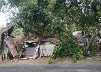 Pohon tumbang yang menimpa sebuah warung kopi di Jalan Raya Oro-Oro Ombo Kota Batu, pada Selasa (24/8/2021). Foto: Pusdalops BPBD Kota Batu