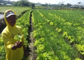 DPRD Kota Batu Usulkan Sopir Angkot, Ojek, dan Petani Tercover BPJS Ketenagakerjaan