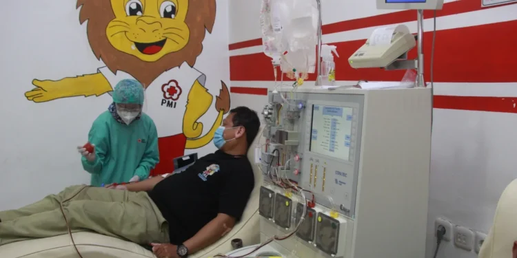 Pengambilan plasma konvalesen di PMI Kota Malang. Foto: Rubianto