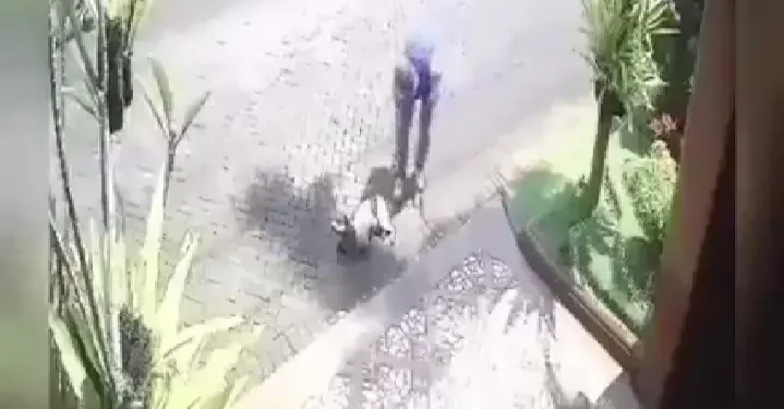 malang - Kota Malang Sepekan: Polemik TPP ASN hingga Penembakan Anjing