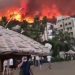 Kebakaran hutan di Turki tewaskan delapan orang