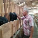 veteran kota batu Berternak kambing etawa