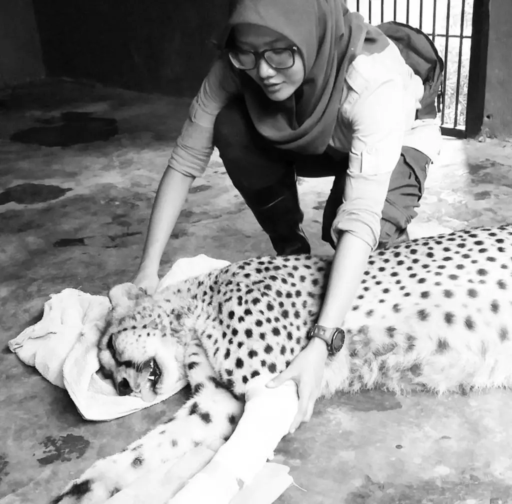 Penanganan satwa di Jatim Park