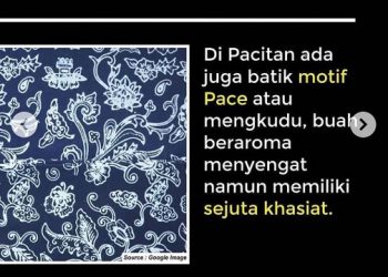 Salah satu motif batik Pace asal Pacitan/tugu malang