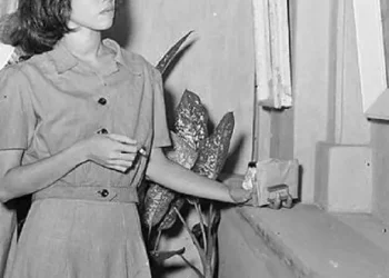 Ida Nasution, sosok intelektual muda perempuan yang hilang misterius tahun 1948/tugu malang