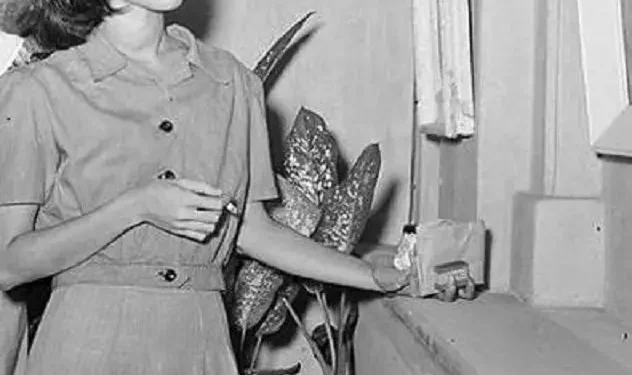 Ida Nasution, sosok intelektual muda perempuan yang hilang misterius tahun 1948/tugu malang