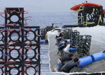 Warga pantai Cacalan, Banyuwangi, sedang membawa satu persatu fish apartment ke tengah laut/tugu malang