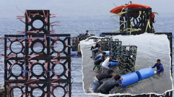 Warga pantai Cacalan, Banyuwangi, sedang membawa satu persatu fish apartment ke tengah laut/tugu malang