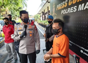 Fakta Unik dari Petani Ganja yang Berhasil Ditangkap Polres Malang