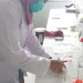 Mahasiswa FK UB Temukan Manfaat Kacang Tunggak, Dapat Cegah Osteoporosis pada Wanita Pasca-Menopause