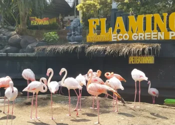 Sepekan Uji Coba Buka, Eco Green Park Sepi Pengunjung