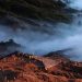Kawasan wisata Gunung Bromo. Foto: Ben