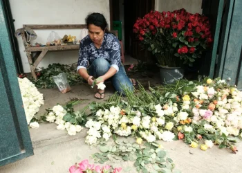 Salah seorang petani mulai menggeluti bisnis bunga hias