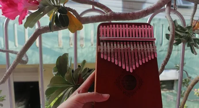 Kalimba alat musik Afrika/tugu malang