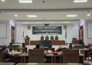 Perda kepemudaan akan digagas