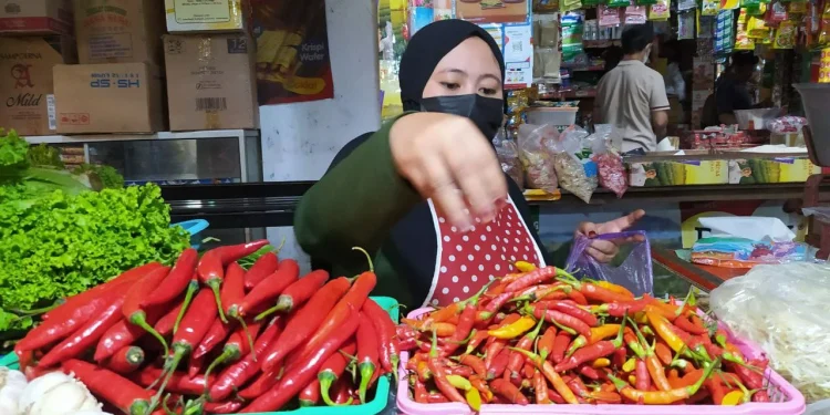 cabai - Harga Cabai di Kota Batu Anjlok hingga Rp 10 Ribu
